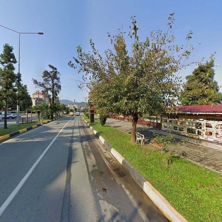 Fotoğraf 13