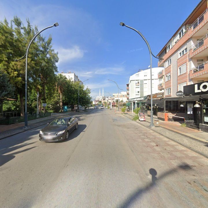 Fotoğraf 9