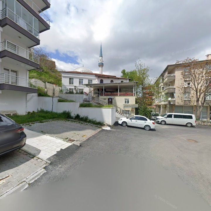 Fotoğraf 9
