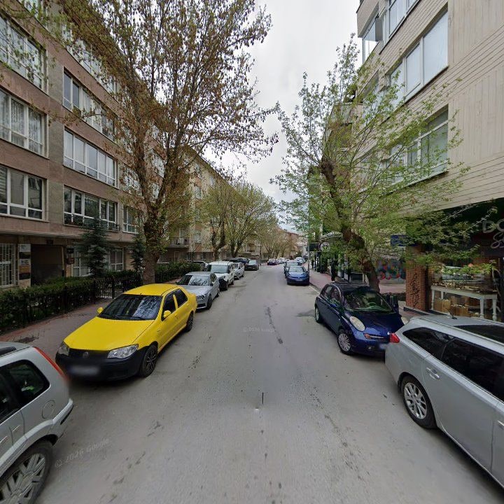 Fotoğraf 15