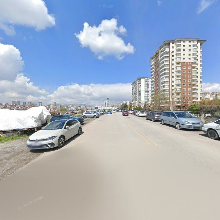 Fotoğraf 9