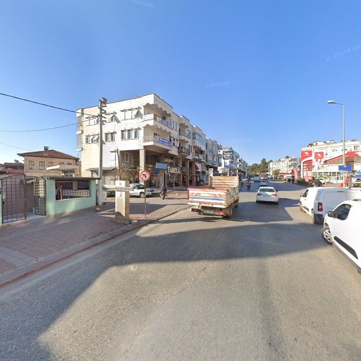 Fotoğraf 11
