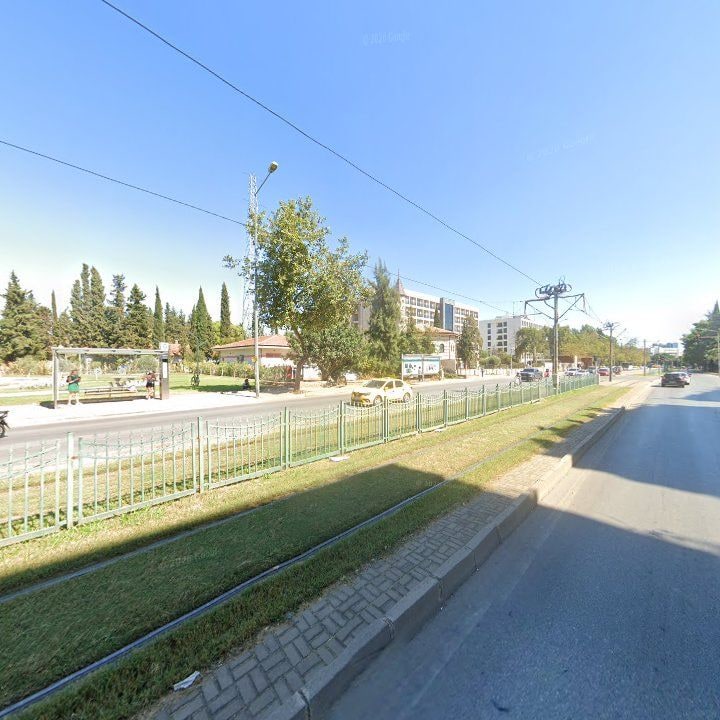 Fotoğraf 11