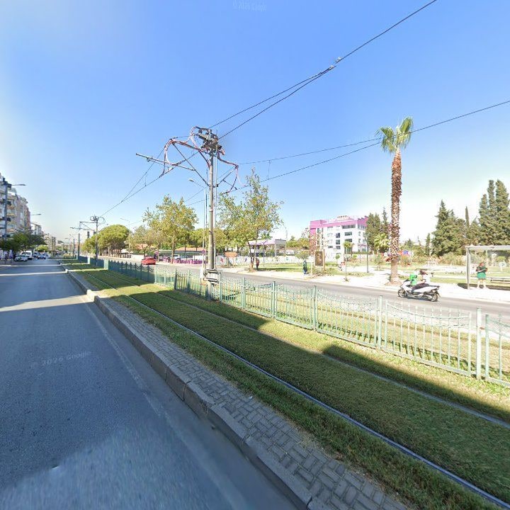 Fotoğraf 10