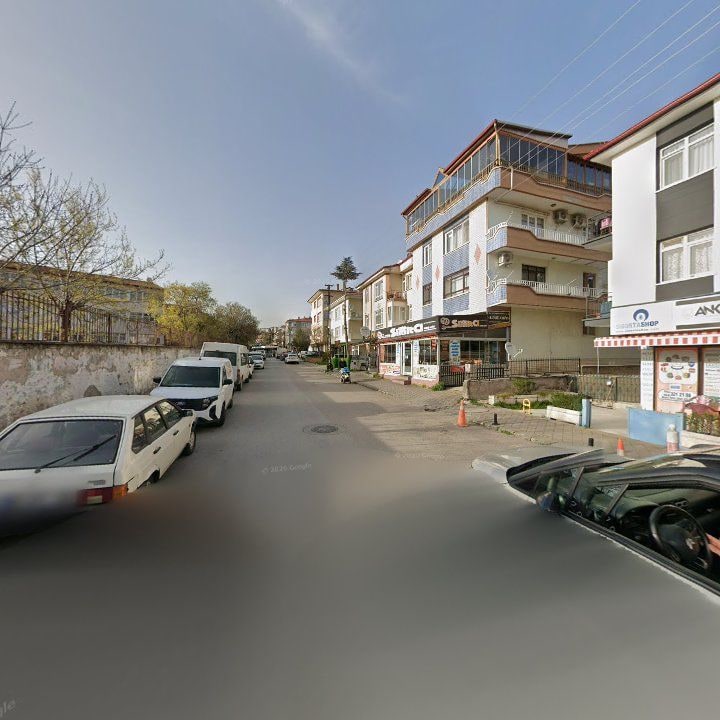 Fotoğraf 11