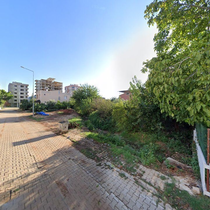 Fotoğraf 6