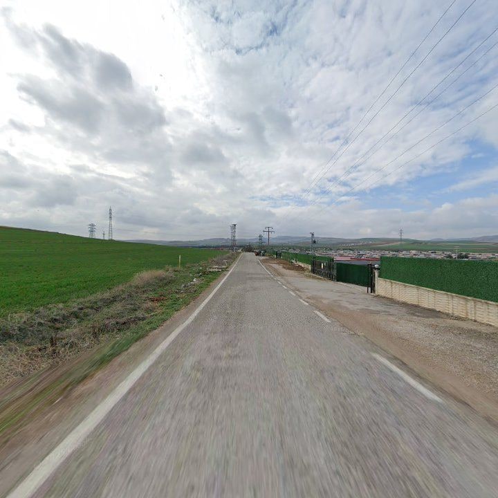 Fotoğraf 9