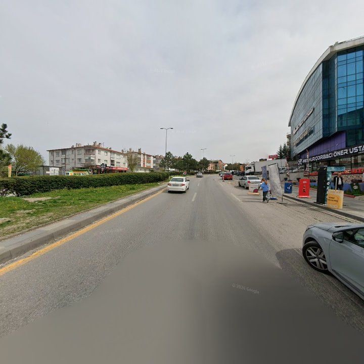 Fotoğraf 9