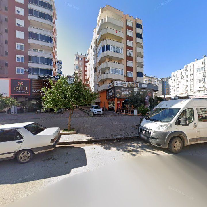 Fotoğraf 7