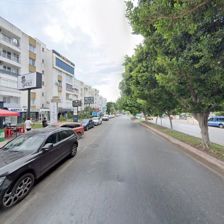 Fotoğraf 11