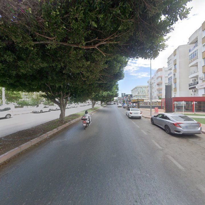 Fotoğraf 13