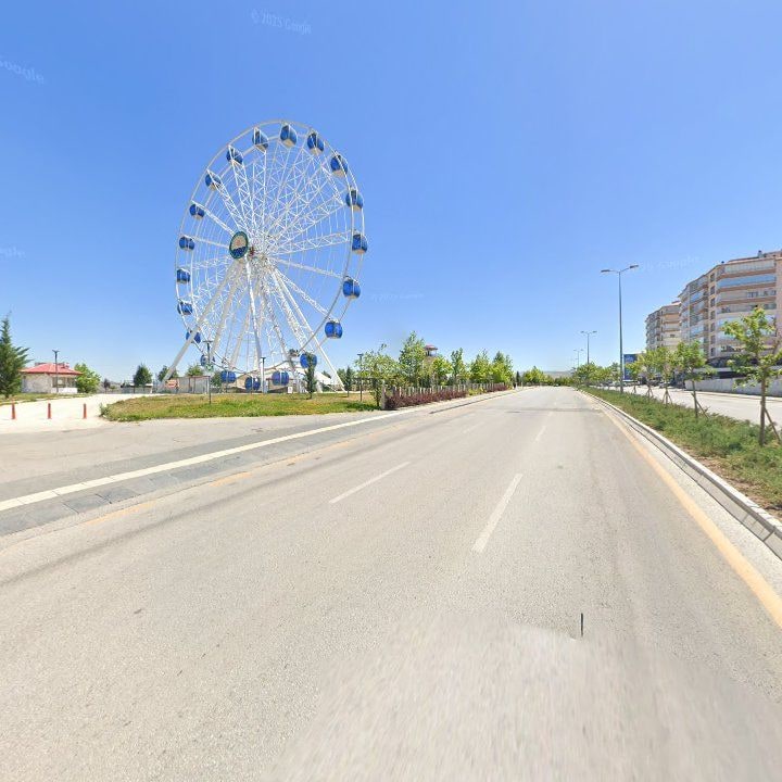 Fotoğraf 8