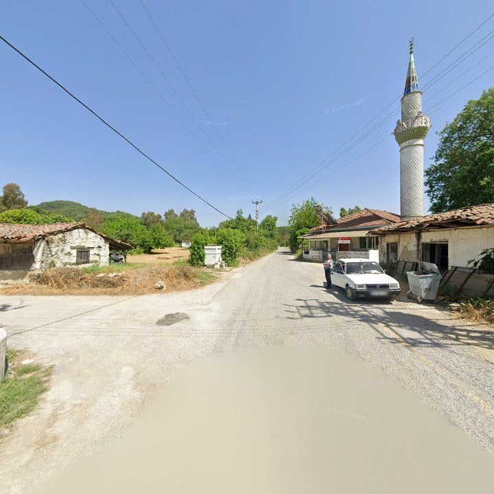 Fotoğraf 8