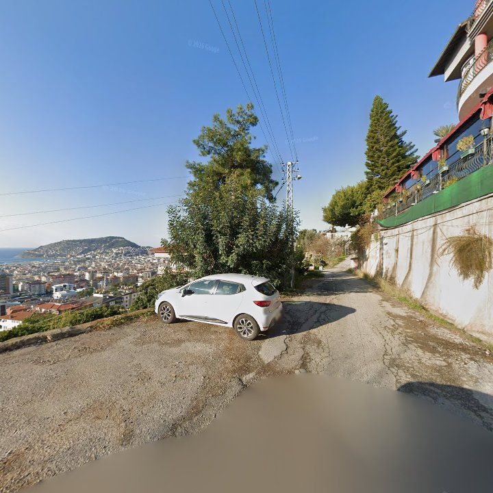Fotoğraf 11
