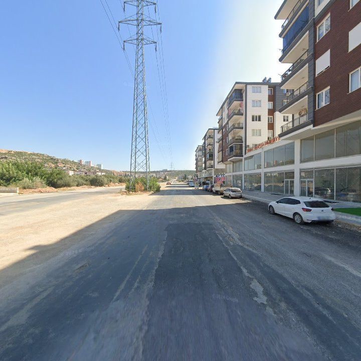 Fotoğraf 7