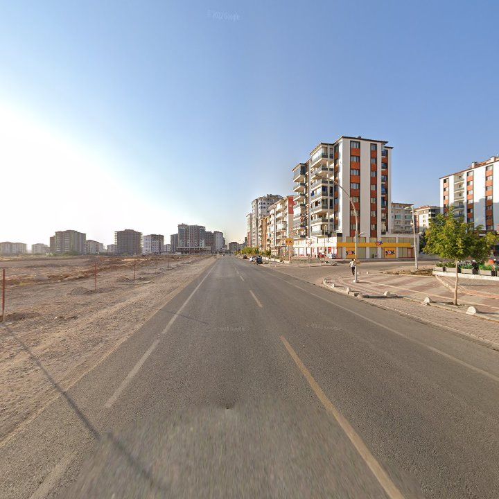 Fotoğraf 11
