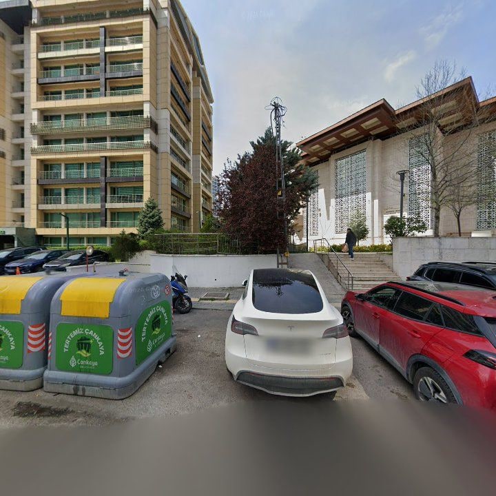 Fotoğraf 10