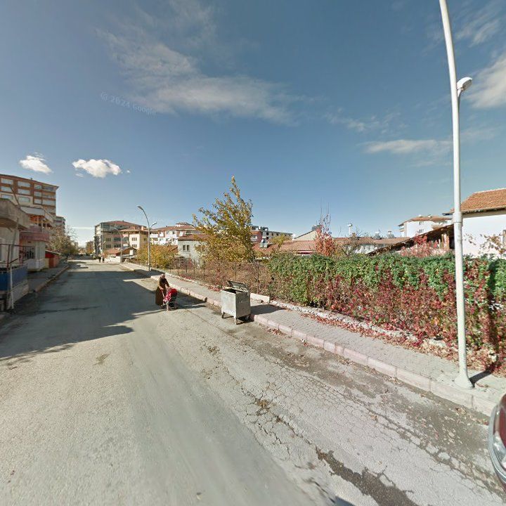 Fotoğraf 8