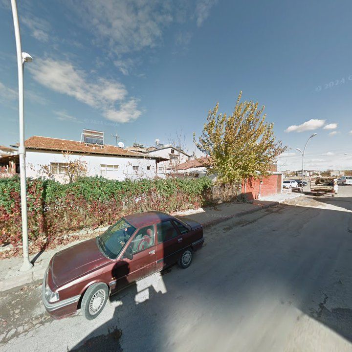 Fotoğraf 9