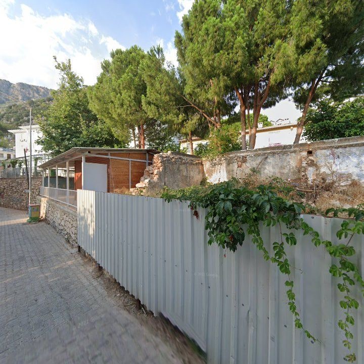 Fotoğraf 10