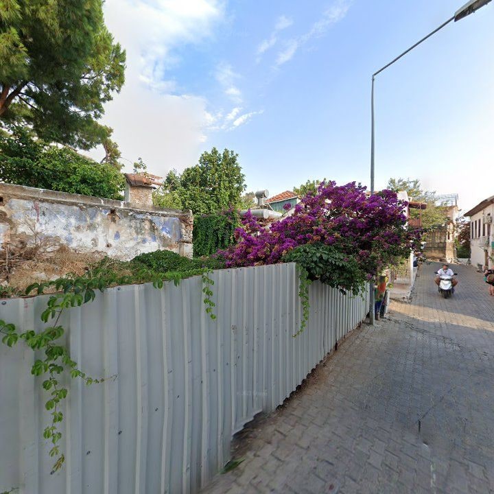 Fotoğraf 7