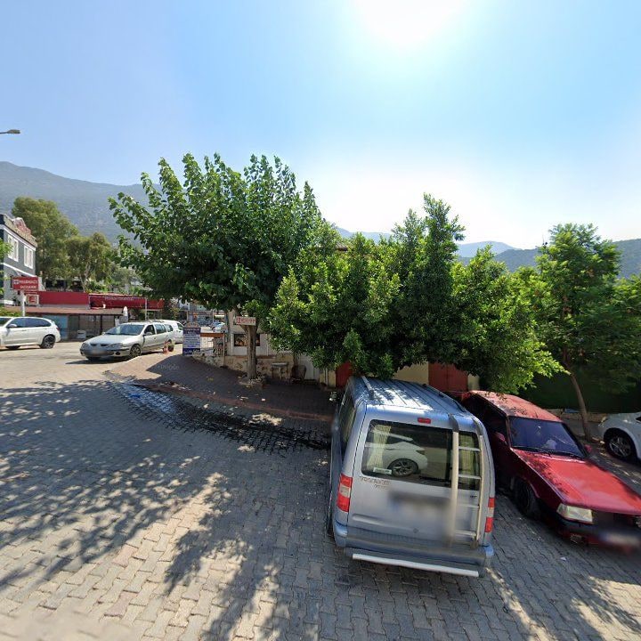 Fotoğraf 11