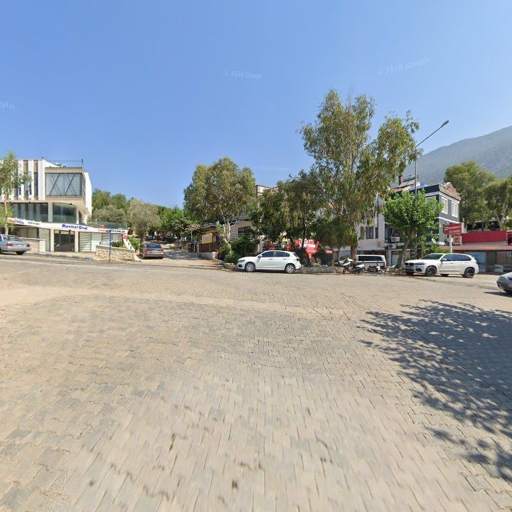Fotoğraf 10