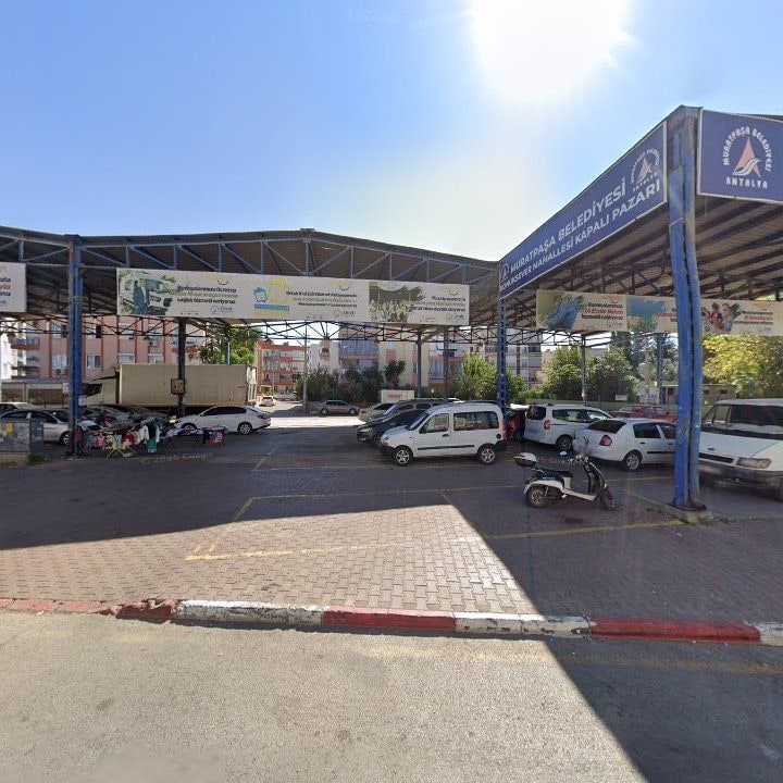 Fotoğraf 6