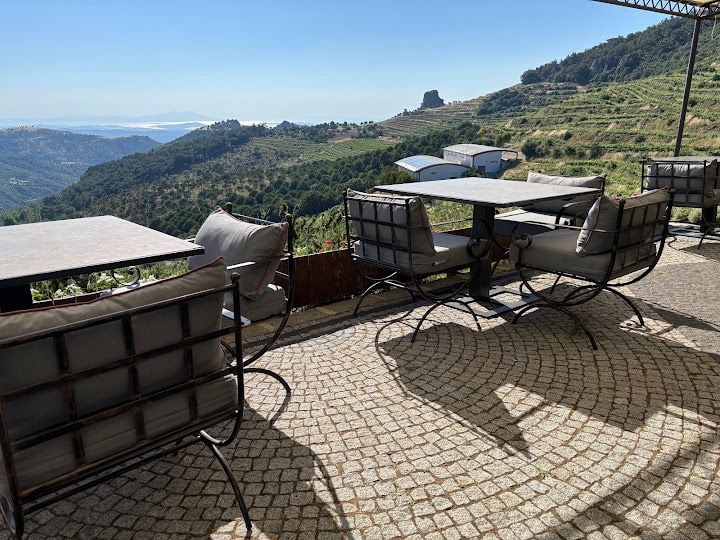 Ma'adra Vıneyard