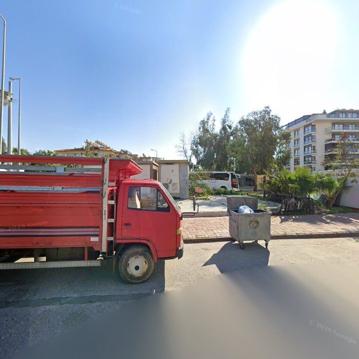 Fotoğraf 15