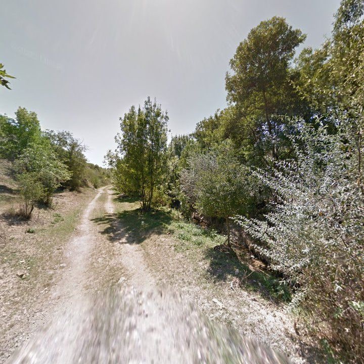 Fotoğraf 11