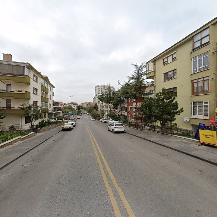 Fotoğraf 12