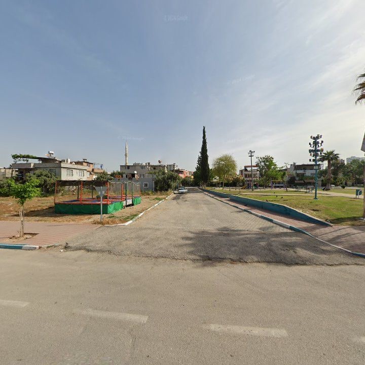 Fotoğraf 8