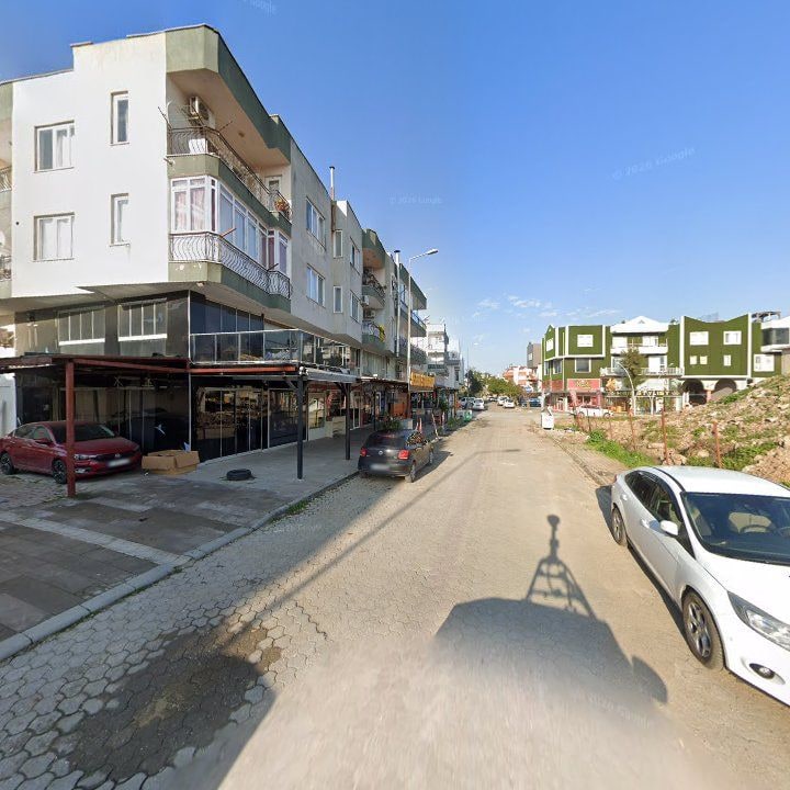 Fotoğraf 9