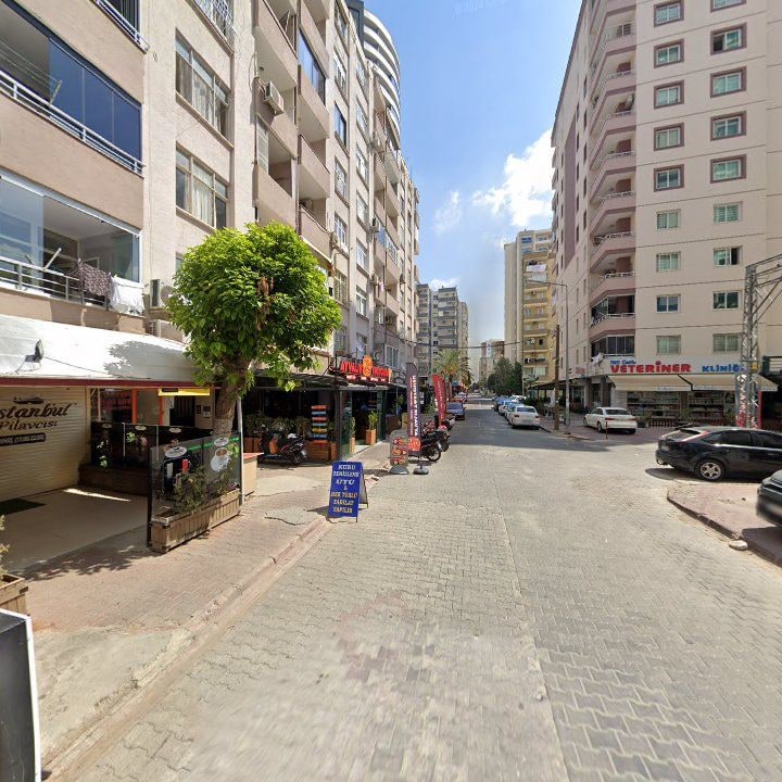 Fotoğraf 10