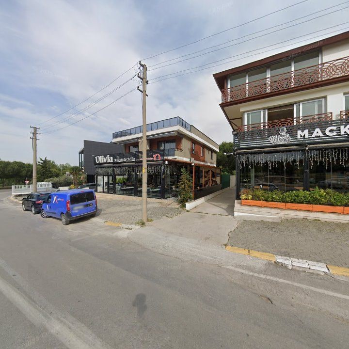 Fotoğraf 11