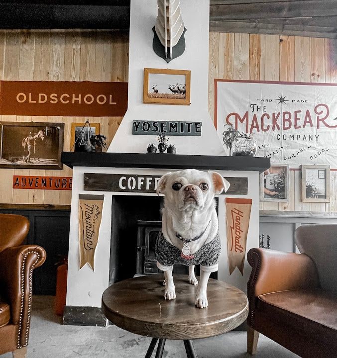 Mackbear Coffee Balgat