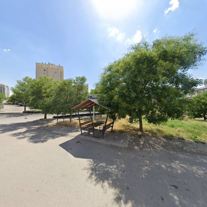 Fotoğraf 7