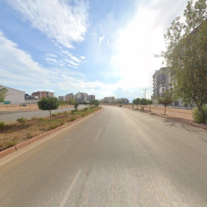Fotoğraf 10