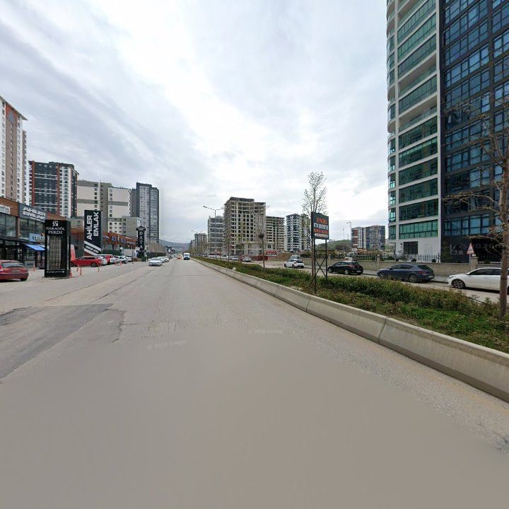 Fotoğraf 8