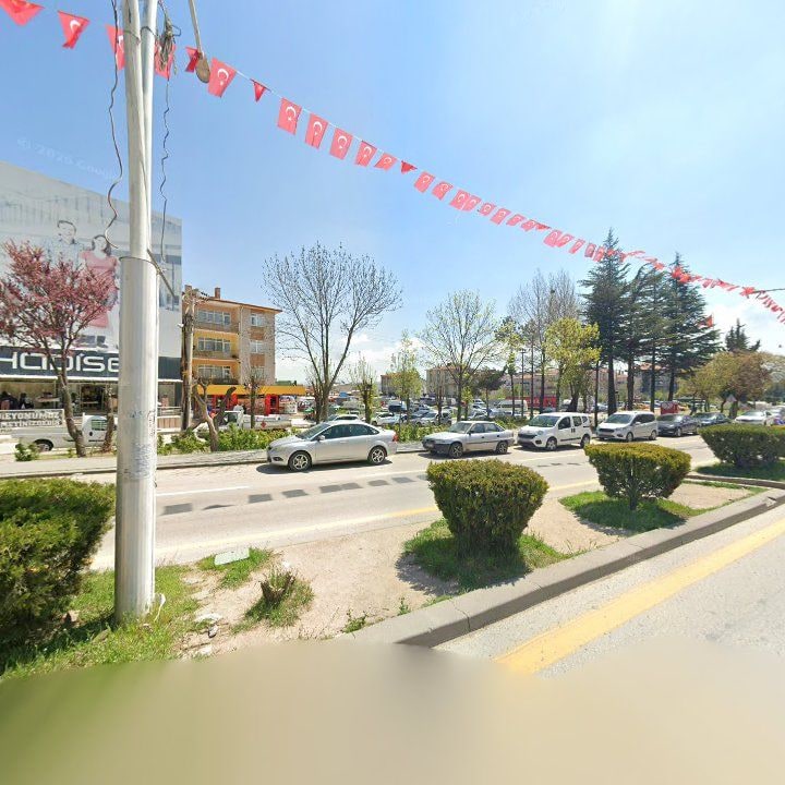 Fotoğraf 8