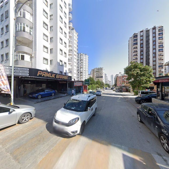 Fotoğraf 11