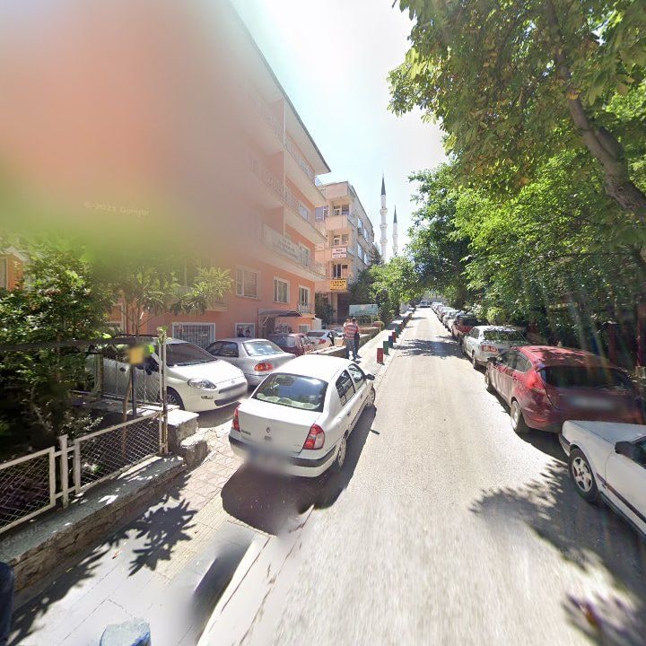 Fotoğraf 9