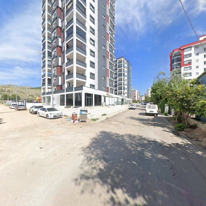 Fotoğraf 8