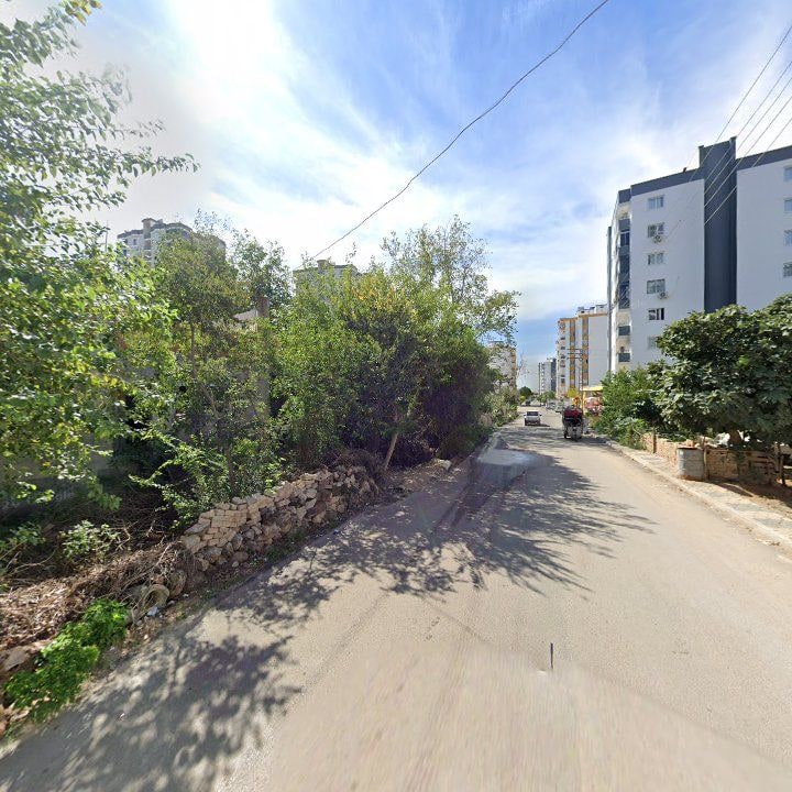Fotoğraf 6