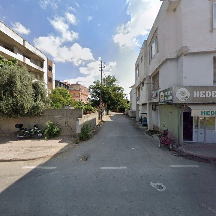 Fotoğraf 7