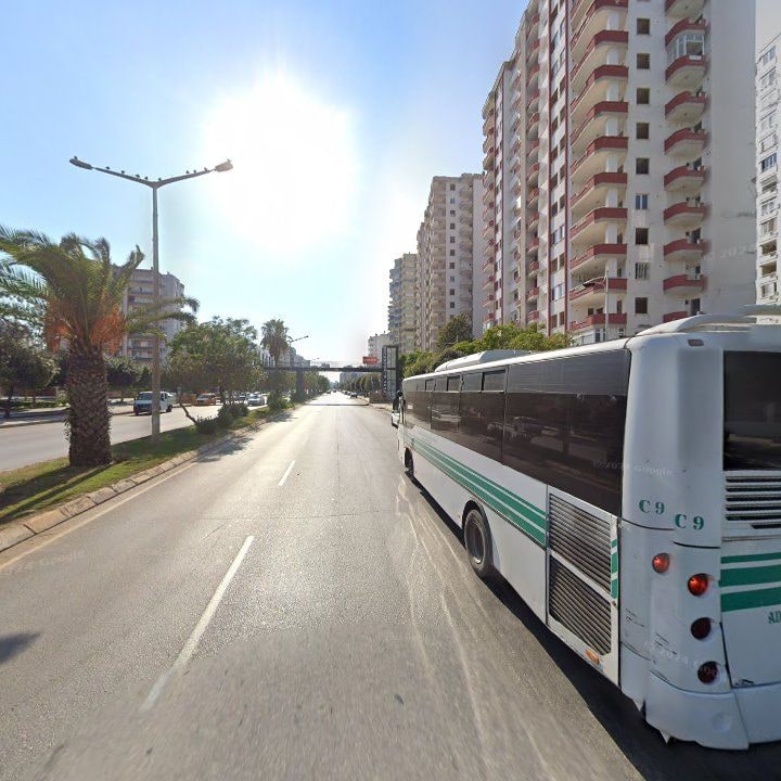 Fotoğraf 12