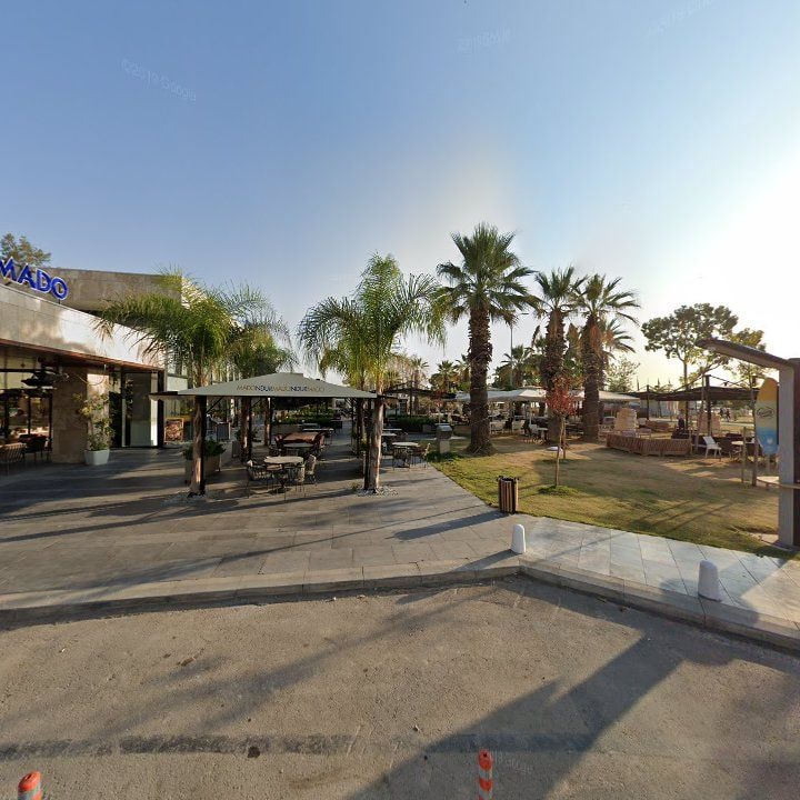Fotoğraf 12
