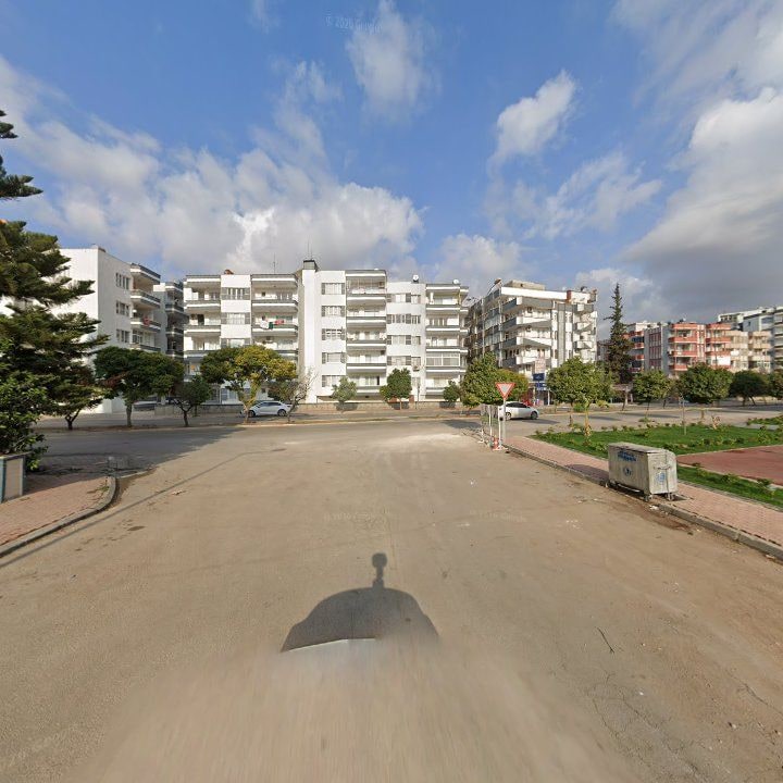 Fotoğraf 7