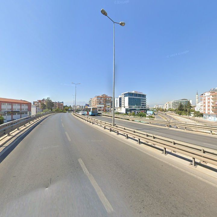 Fotoğraf 11